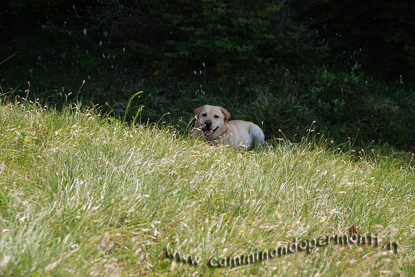 09 04323 Pausa pranzo al Monte Costone.JPG